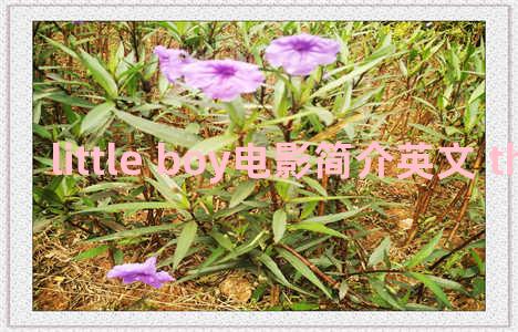 little boy电影简介英文 the little boy 电影